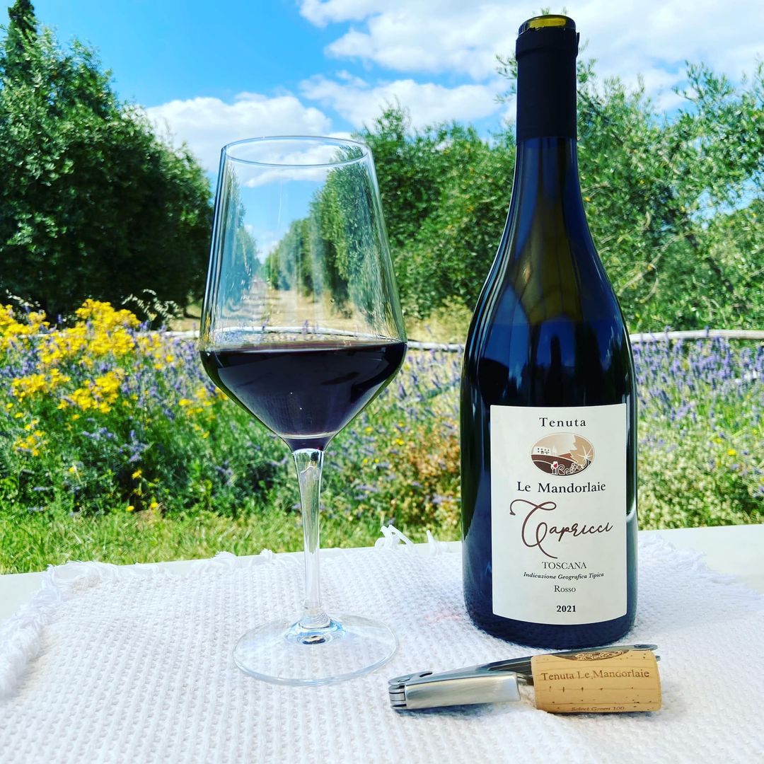independent vineyard tuscany