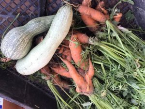 légumes frais tenuta le mandorlaie