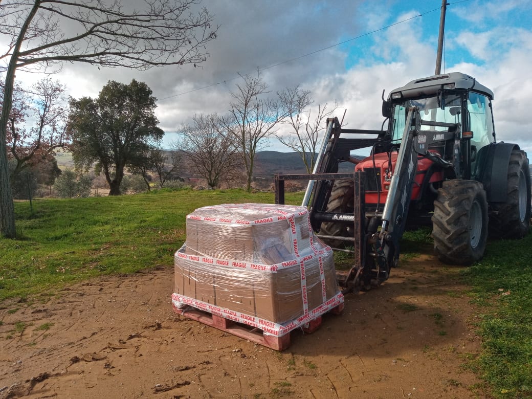 palete embalada de azeite extra virgem tenuta le mandorlaie