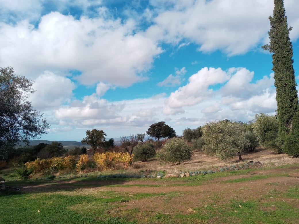 La familia Medici en Maremma