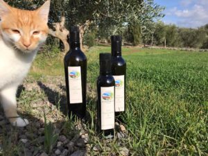 olive oil direct