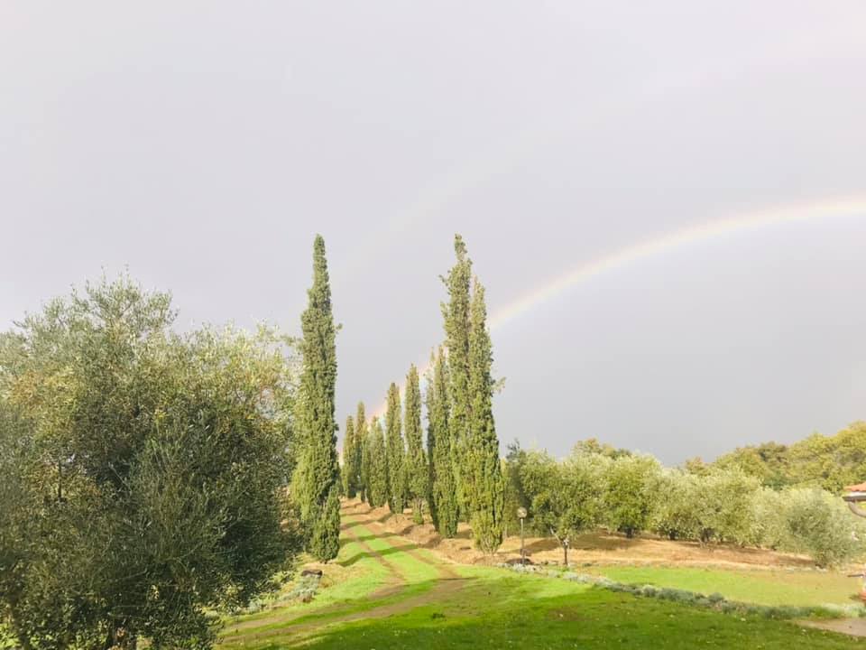 maremma wildlife