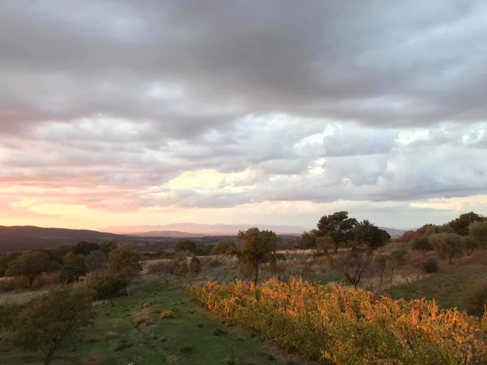 A família Medici em Maremma