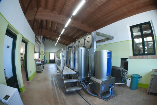 frantoio rossi olive oil mill maremma