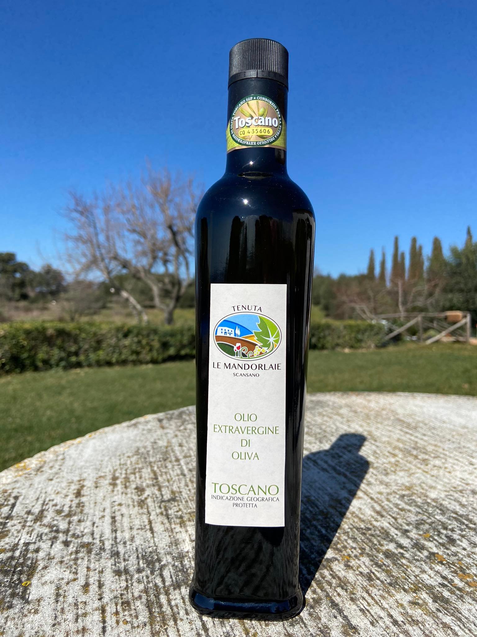 Authentic Italian Olive Oil