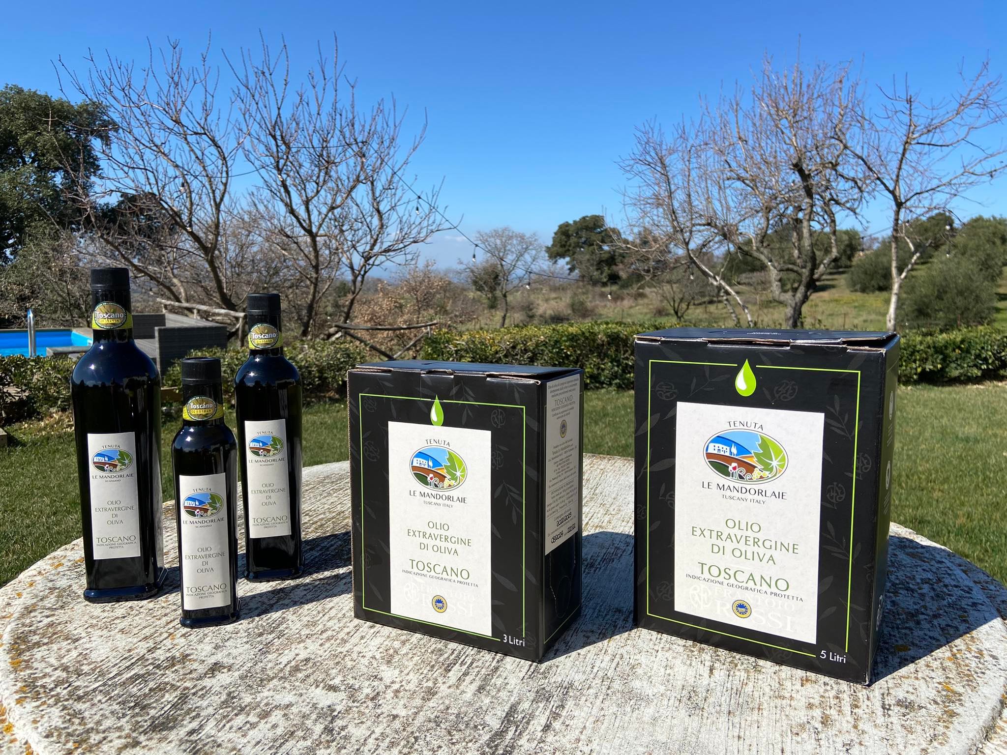 IGP Extra Virgin Olive Oil Toscana
