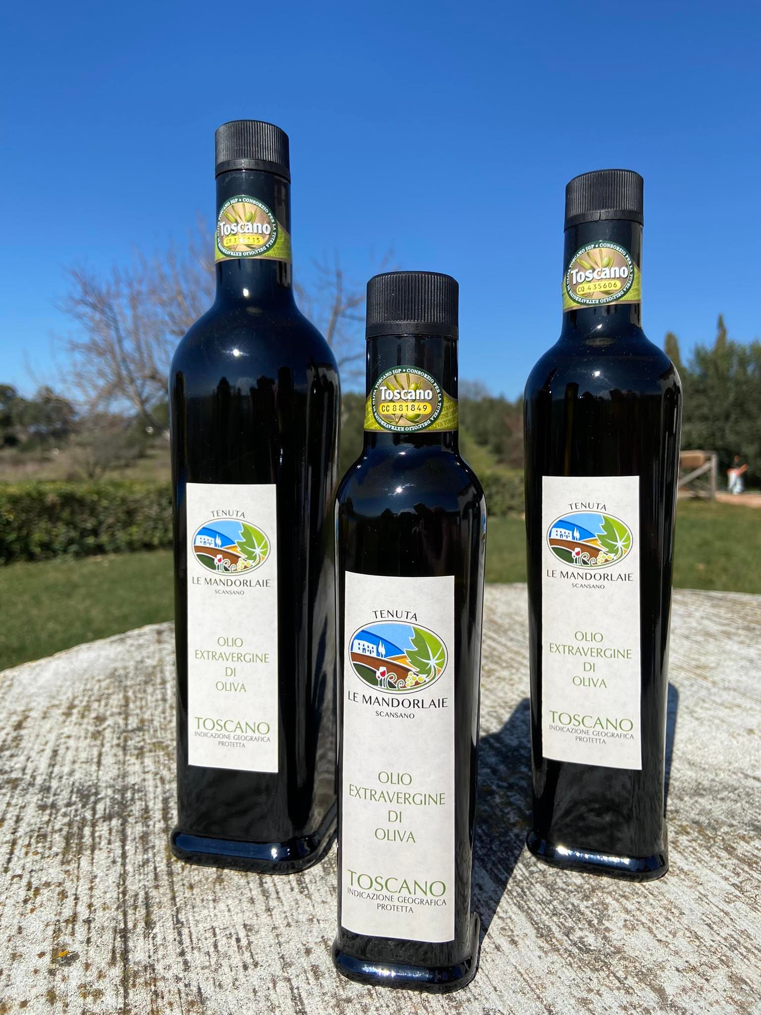 extra virgin olive oil IGP Toscana