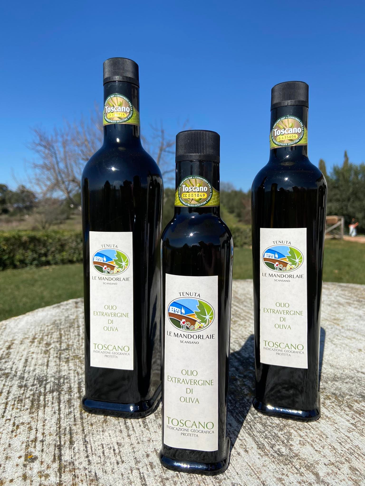 Extra Virgin Olive Oil Tuscany