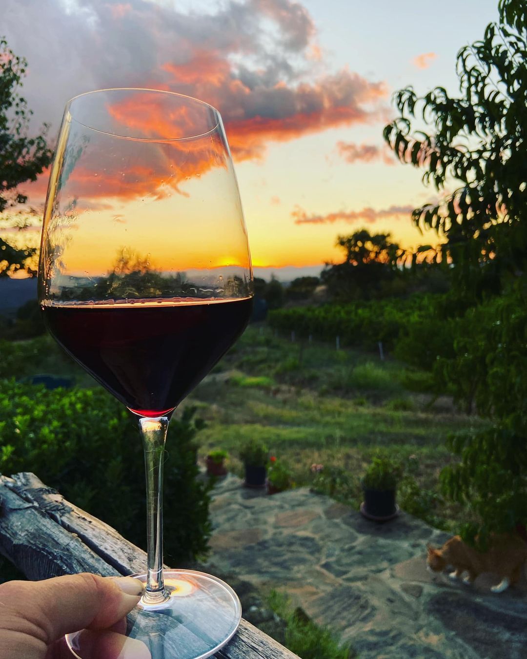 wine tasting tuscany
