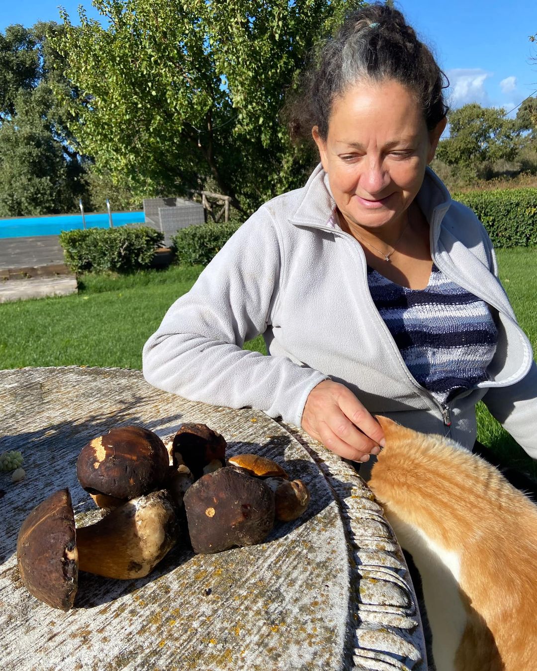 sostenere l'azienda agricola biologica