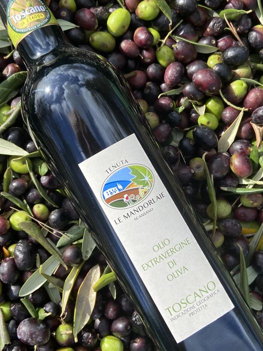 Tuscan Olive varieties