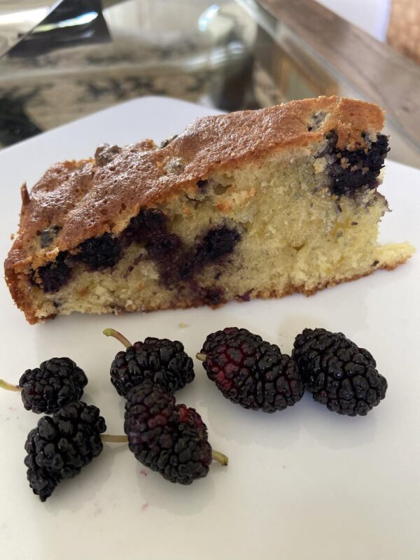 mulberry and lemon cake recipe