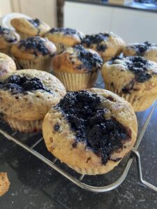 Mulberry Muffin Recipe