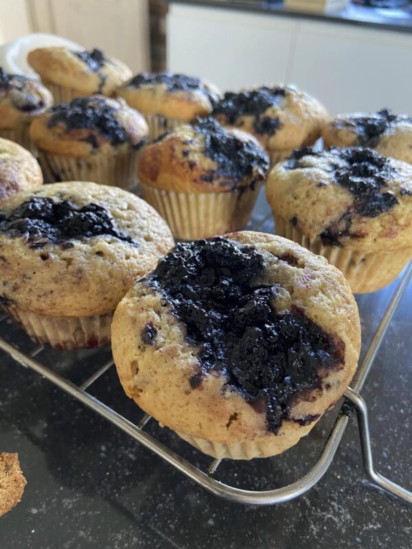 Mulberry Muffin Recipe